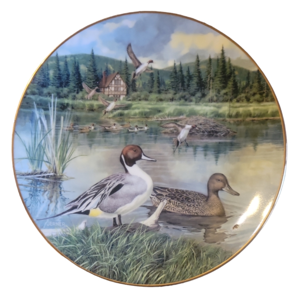 Vtg 86 The Pintail Collector Plate Living With Nature Jerner's Ducks Anas Acuta